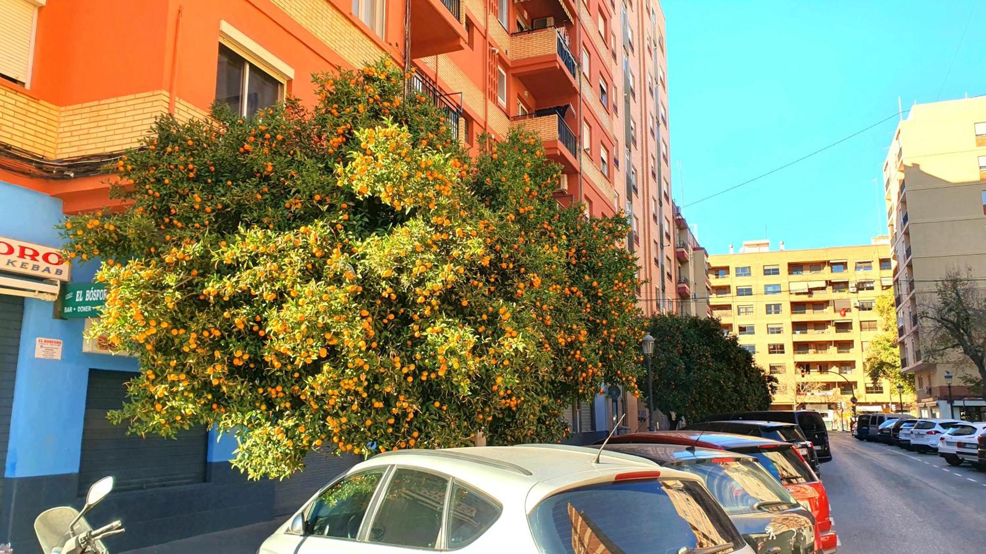 Nuevo Apartamentos Costa Del Alma Valencia Exteriör bild