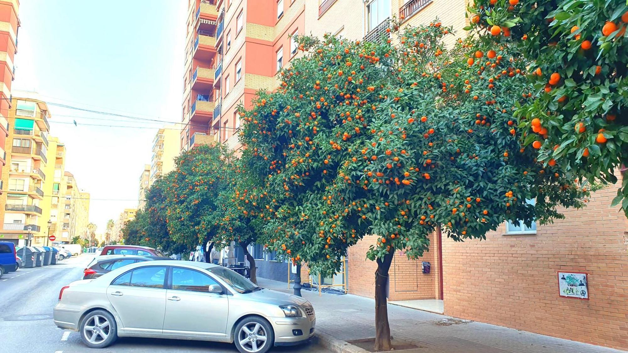 Nuevo Apartamentos Costa Del Alma Valencia Exteriör bild